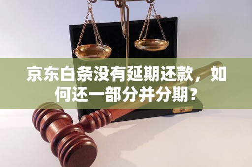 京东白条没有延期还款，如何还一部分并分期？