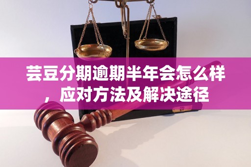 芸豆分期逾期半年会怎么样，应对方法及解决途径