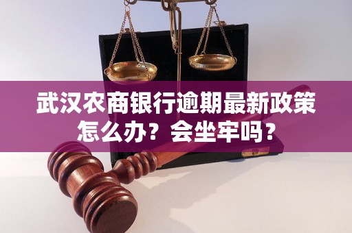 武汉农商银行逾期最新政策怎么办？会坐牢吗？