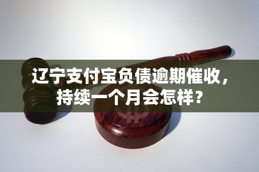 辽宁支付宝负债逾期催收，持续一个月会怎样？