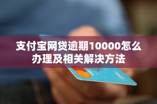 支付宝网贷逾期10000怎么办理及相关解决方法