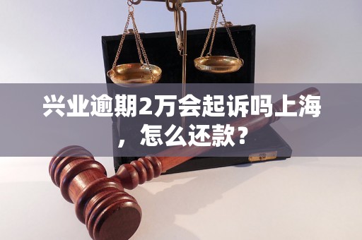 兴业逾期2万会起诉吗上海，怎么还款？