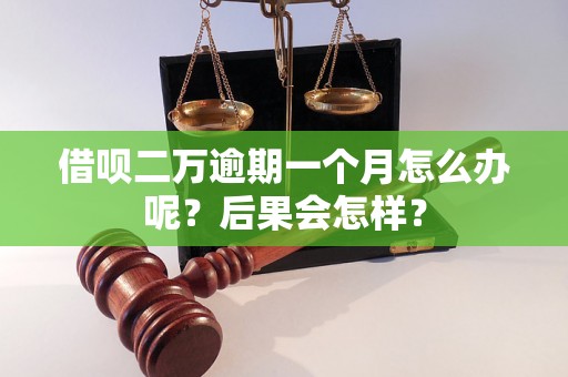 借呗二万逾期一个月怎么办呢？后果会怎样？