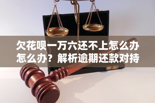 欠花呗一万六还不上怎么办怎么办？解析逾期还款对持卡人的影响