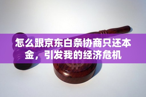 怎么跟京东白条协商只还本金，引发我的经济危机