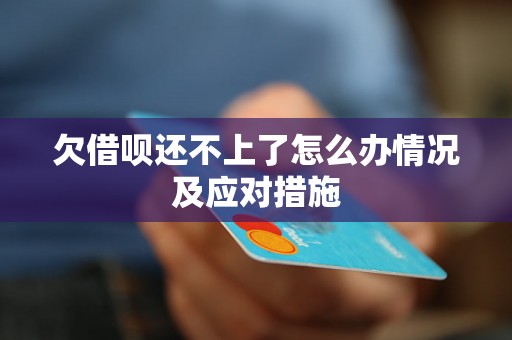 欠借呗还不上了怎么办情况及应对措施