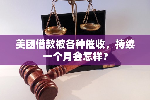 美团借款被各种催收，持续一个月会怎样？