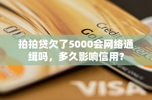 拍拍贷欠了5000会网络通缉吗，多久影响信用？