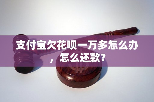 支付宝欠花呗一万多怎么办，怎么还款？