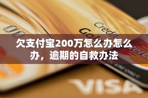 欠支付宝200万怎么办怎么办，逾期的自救办法