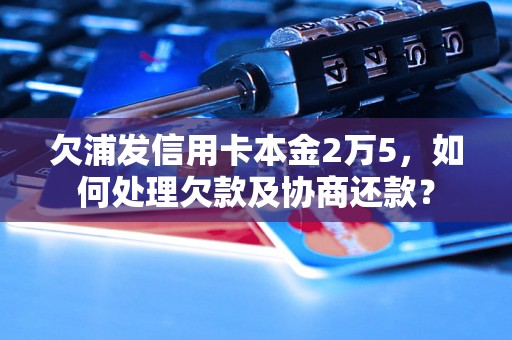 欠浦发信用卡本金2万5，如何处理欠款及协商还款？