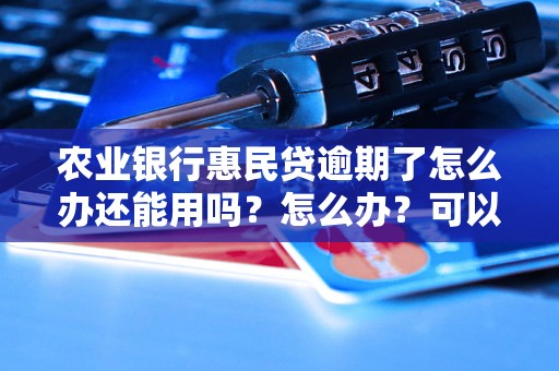 农业银行惠民贷逾期了怎么办还能用吗？怎么办？可以协商还本金吗？