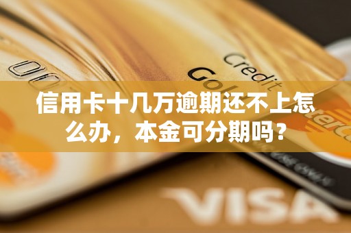 信用卡十几万逾期还不上怎么办，本金可分期吗？