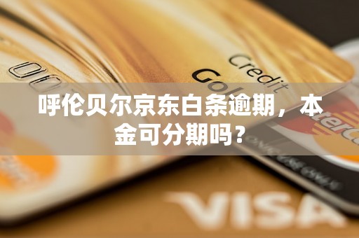 呼伦贝尔京东白条逾期，本金可分期吗？