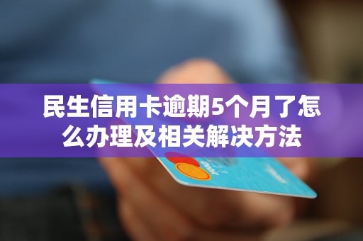 民生信用卡逾期5个月了怎么办理及相关解决方法