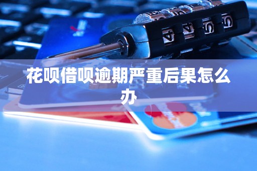 花呗借呗逾期严重后果怎么办