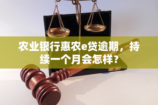 农业银行惠农e贷逾期，持续一个月会怎样？