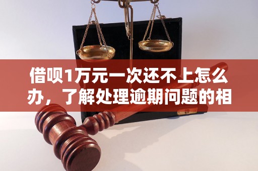 借呗1万元一次还不上怎么办，了解处理逾期问题的相关流程和方法