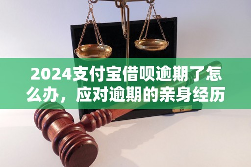 2024支付宝借呗逾期了怎么办，应对逾期的亲身经历分享