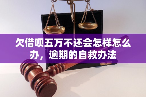 欠借呗五万不还会怎样怎么办，逾期的自救办法