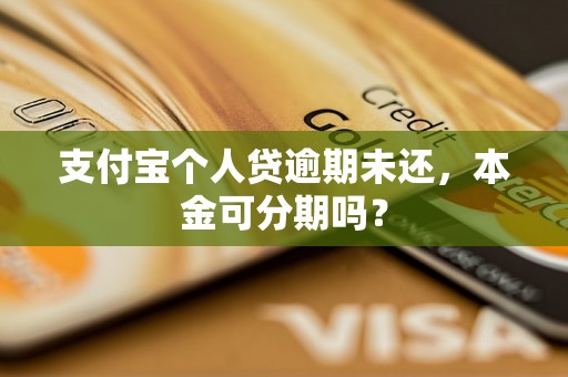 支付宝个人贷逾期未还，本金可分期吗？