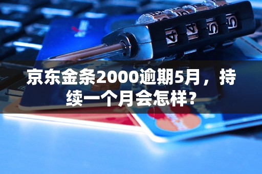 京东金条2000逾期5月，持续一个月会怎样？