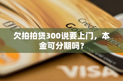 欠拍拍贷300说要上门，本金可分期吗？