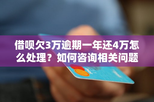 借呗欠3万逾期一年还4万怎么处理？如何咨询相关问题？