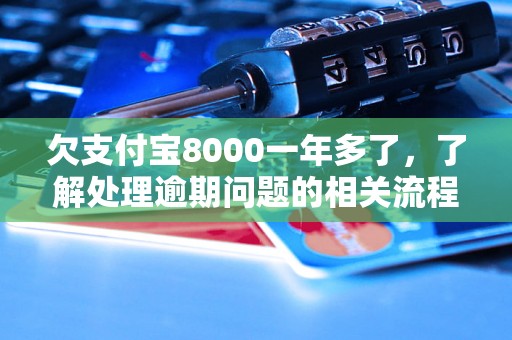 欠支付宝8000一年多了，了解处理逾期问题的相关流程和方法