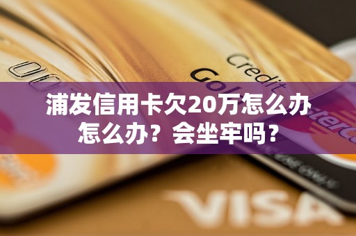 浦发信用卡欠20万怎么办怎么办？会坐牢吗？