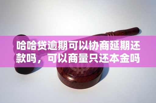 哈哈贷逾期可以协商延期还款吗，可以商量只还本金吗？