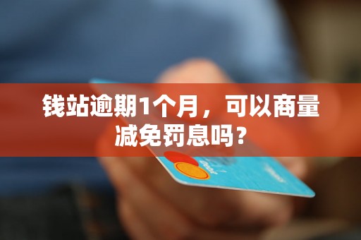 钱站逾期1个月，可以商量减免罚息吗？