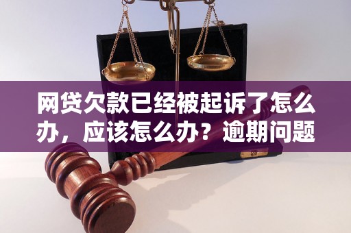 网贷欠款已经被起诉了怎么办，应该怎么办？逾期问题解决办法