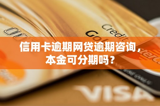 信用卡逾期网贷逾期咨询，本金可分期吗？