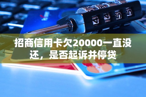 招商信用卡欠20000一直没还，是否起诉并停贷