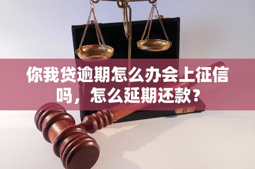 你我贷逾期怎么办会上征信吗，怎么延期还款？