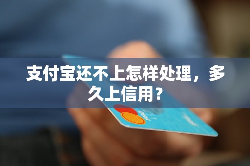 支付宝还不上怎样处理，多久上信用？