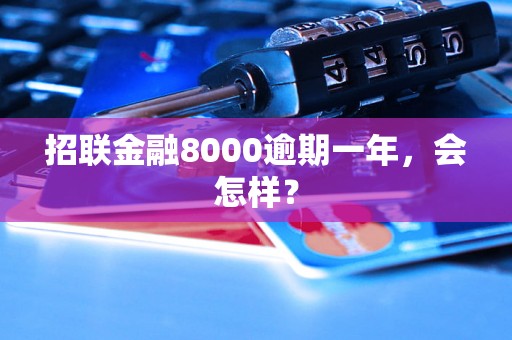 招联金融8000逾期一年，会怎样？