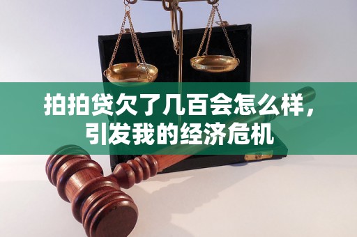 拍拍贷欠了几百会怎么样，引发我的经济危机