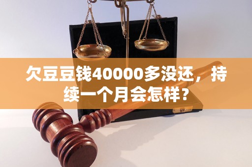 欠豆豆钱40000多没还，持续一个月会怎样？