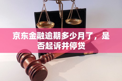 京东金融逾期多少月了，是否起诉并停贷