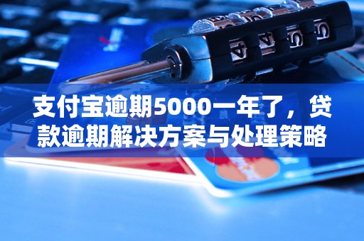 支付宝逾期5000一年了，贷款逾期解决方案与处理策略