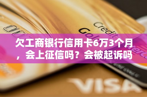 欠工商银行信用卡6万3个月，会上征信吗？会被起诉吗？