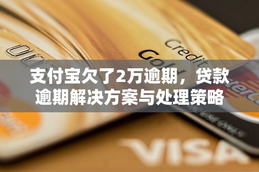 支付宝欠了2万逾期，贷款逾期解决方案与处理策略