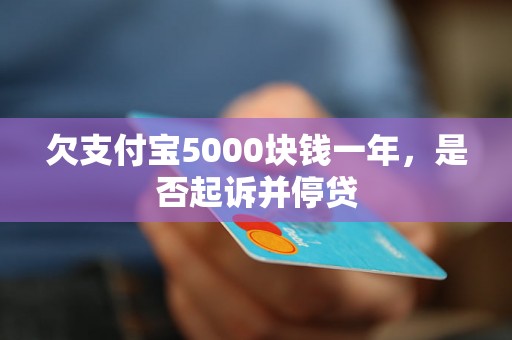 欠支付宝5000块钱一年，是否起诉并停贷