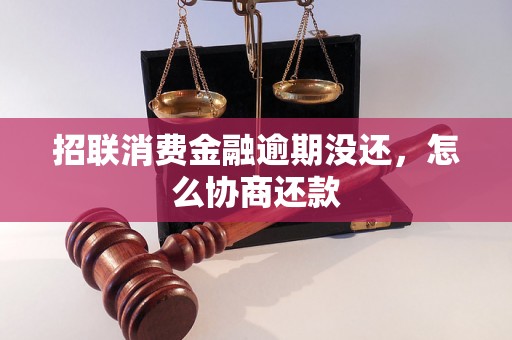 招联消费金融逾期没还，怎么协商还款