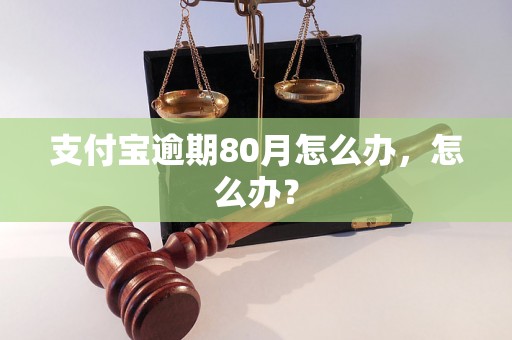 支付宝逾期80月怎么办，怎么办？