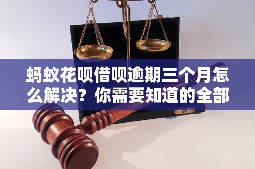 蚂蚁花呗借呗逾期三个月怎么解决？你需要知道的全部解决方法