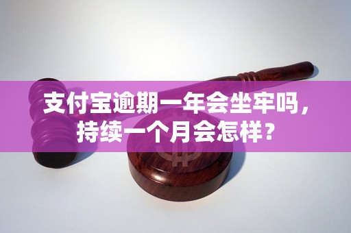 支付宝逾期一年会坐牢吗，持续一个月会怎样？