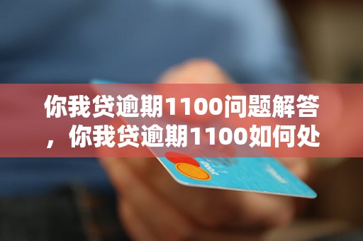 你我贷逾期1100问题解答，你我贷逾期1100如何处理